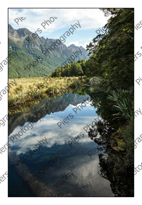 Milford Sound 008 
 New Zealand Landscapes 
 Keywords: Piers Photography, New Zealand, South Island, North Island