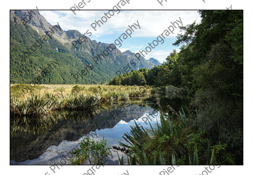 Milford Sound 007 
 New Zealand Landscapes 
 Keywords: Piers Photography, New Zealand, South Island, North Island
