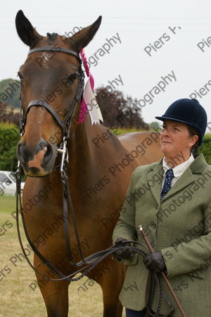 In Hnad Veteran Horse 32 
 NRCS Class 22 In Hand Veteran Horse