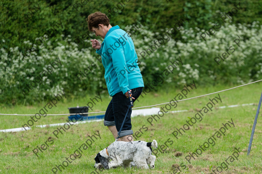 NRC Dog Show 001 
 Naphill Riding Club Open Show 
 Keywords: Naphill Riding Club, Open Show, Equestrian, Piers Photography, Bucks Wedding Photographer