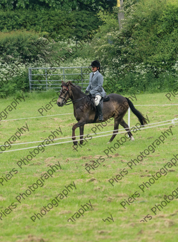 show portraits 11 
 Naphill Riding Club Open Show 
 Keywords: Naphill Riding Club, Open Show, Equestrian, Piers Photography, Bucks Wedding Photographer