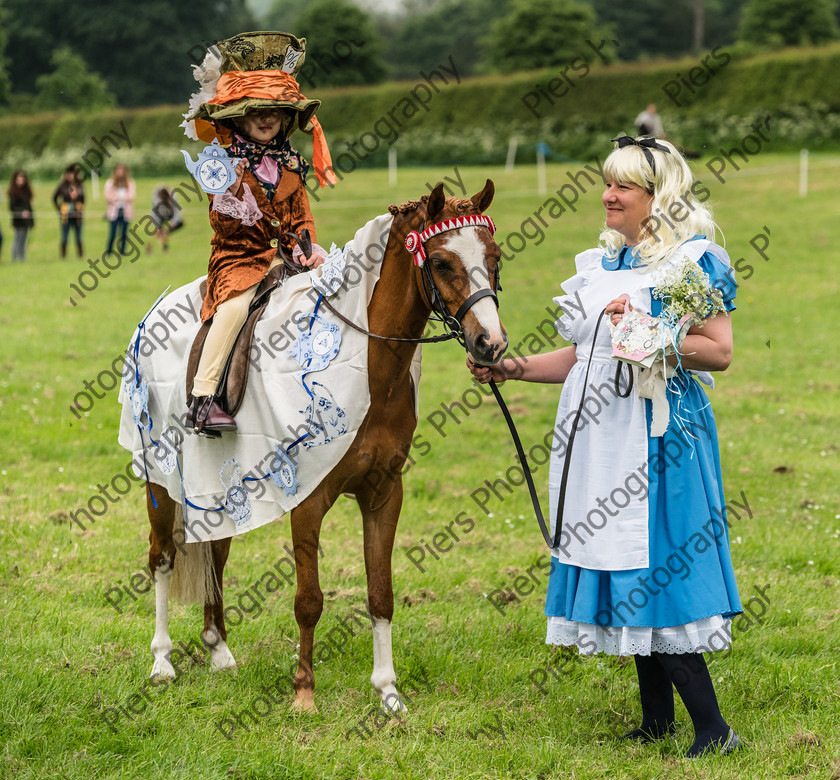 Fancy Dress 023 
 Naphill Riding Club Open Show 
 Keywords: Naphill Riding Club,Open Show, Equestrian, Piers Photography, Bucks Wedding Photographer