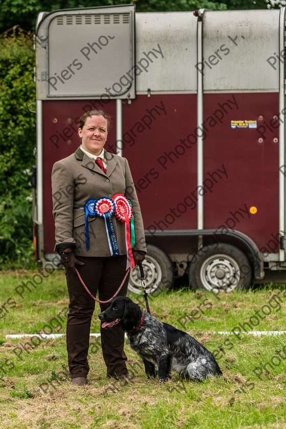 NRC Dog Show 036 
 Naphill Riding Club Open Show 
 Keywords: Naphill Riding Club, Open Show, Equestrian, Piers Photography, Bucks Wedding Photographer