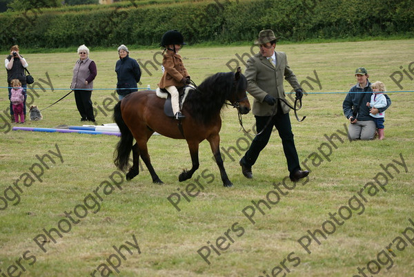 Leading Rein 32 
 NRCS Class 17 Leading Rein