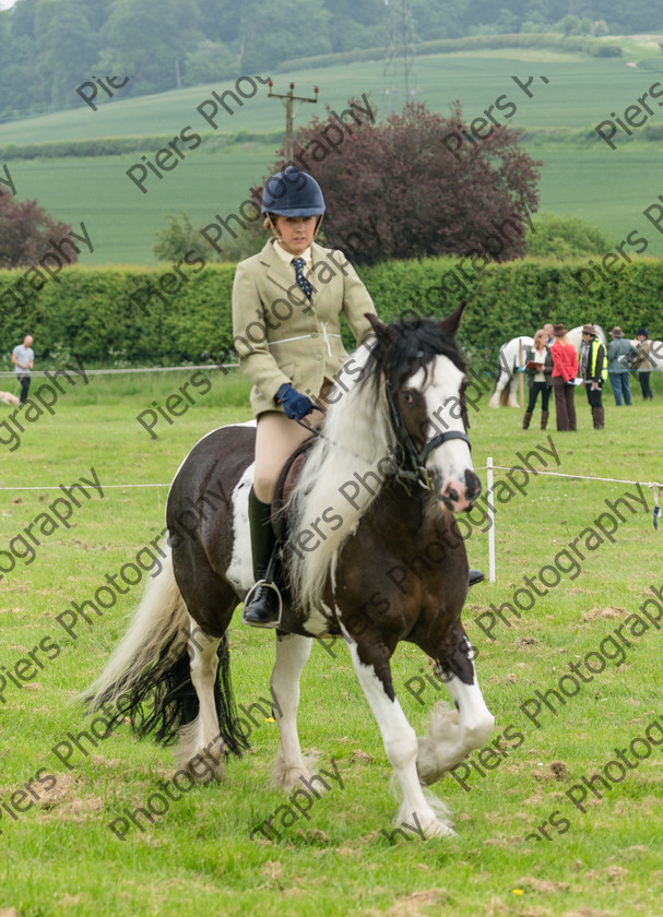 Ring 2 Afternoon 030 
 Naphill Riding Club Open Show 
 Keywords: Naphill Riding Club, Open Show, Equestrian, Piers Photography,
Bucks Wedding Photographer