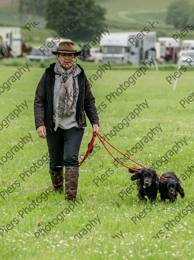 show portraits 02 
 Naphill Riding Club Open Show 
 Keywords: Naphill Riding Club, Open Show, Equestrian, Piers Photography, Bucks Wedding Photographer