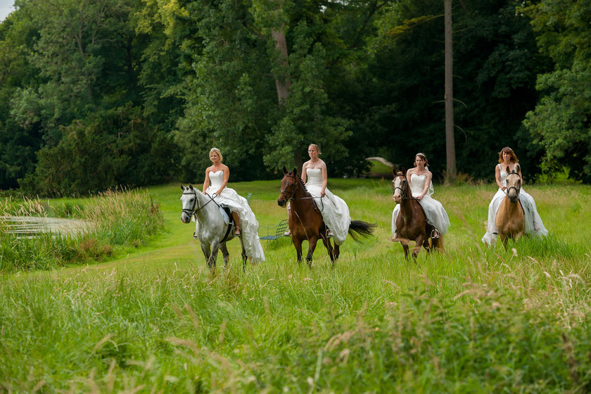 WWE Bridal Horse shoot 026 
 West Wycombe Horse shoot 
 Keywords: Buckinghamshire wedding photographer, Horses, Piers Photo, Summer, West Wycombe House