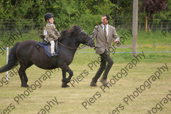 Leading Rein 21 
 NRCS Class 17 Leading Rein