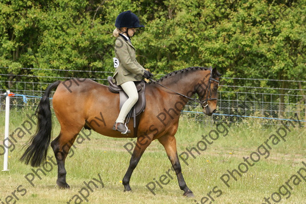 Family Horse 15 
 NRCS Class 20 Family Horse