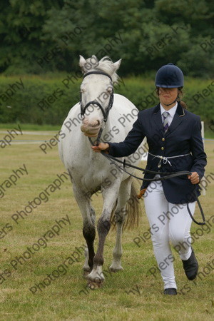 In Hnad Veteran Horse 10 
 NRCS Class 22 In Hand Veteran Horse