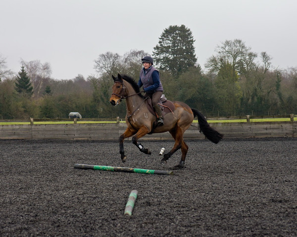 Ollie and Blyth Lesson 26 
 Ollie and Blyth Lesson 
 Keywords: Piers Photo, Moses Plat Yard, Ollie, Blyth, Mary Hilder, Jo Reynolds