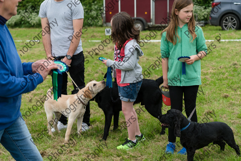 NRC Dog Show 023 
 Naphill Riding Club Open Show 
 Keywords: Naphill Riding Club, Open Show, Equestrian, Piers Photography, Bucks Wedding Photographer