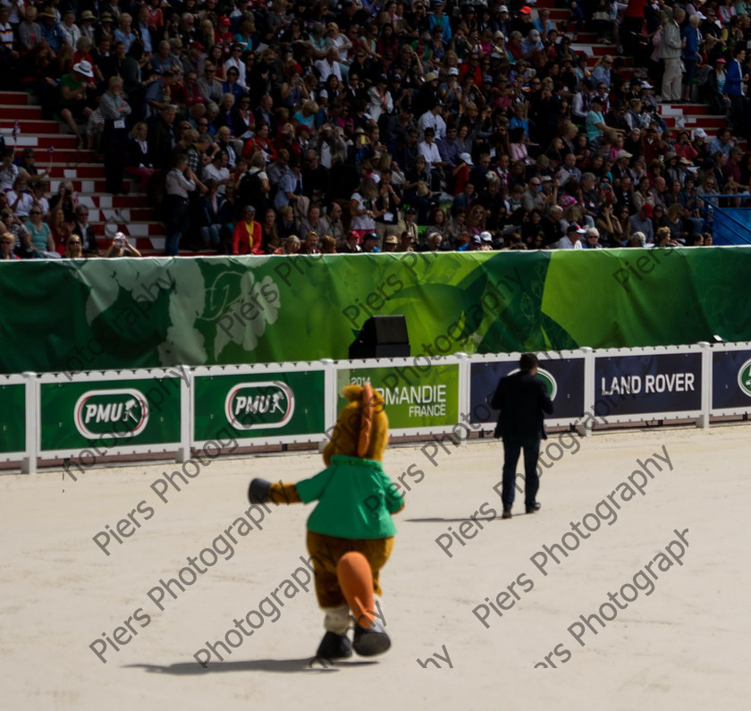 Freestle dressage WEG 001 
 WEG 2014 Freestyle dressage