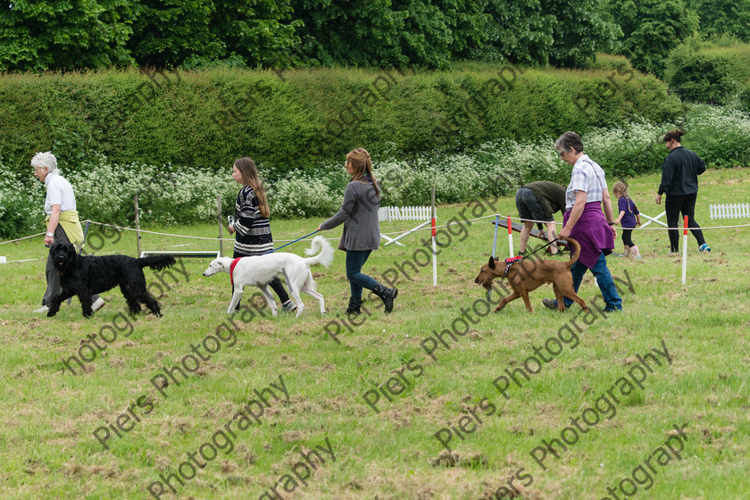 NRC Dog Show 028 
 Naphill Riding Club Open Show 
 Keywords: Naphill Riding Club, Open Show, Equestrian, Piers Photography, Bucks Wedding Photographer