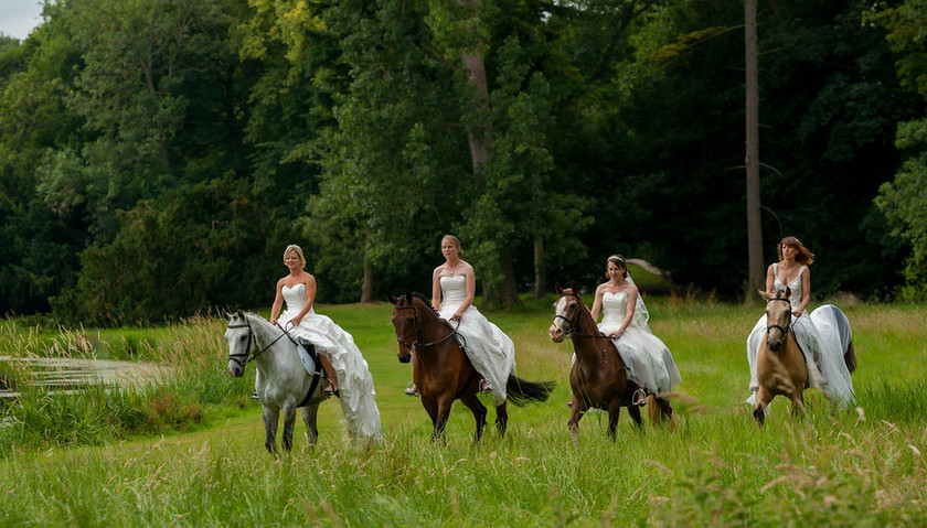 WWE Bridal Horse shoot 027 
 West Wycombe Horse shoot 
 Keywords: Buckinghamshire wedding photographer, Horses, Piers Photo, Summer, West Wycombe House