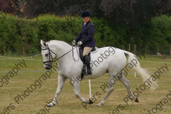 Ridden Veteran Horse 019 
 NRCS Class 23 Ridden Veteran Horse