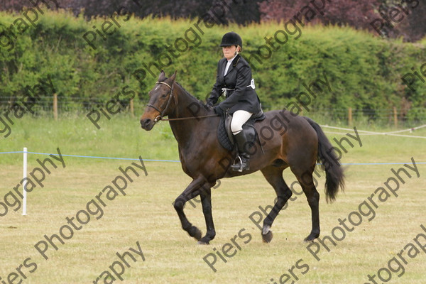 Ridden Veteran Horse 029 
 NRCS Class 23 Ridden Veteran Horse