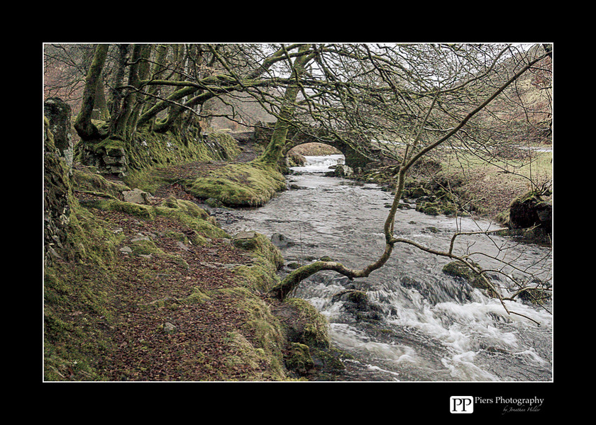 FB3 
 Keywords: Buckingahmshire wedding photographer, Exmoor, Piers Photography, Withypool, the Devon and Somerset Stag Hounds