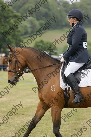 Others 60 
 Naphill Riding Club Show 2011