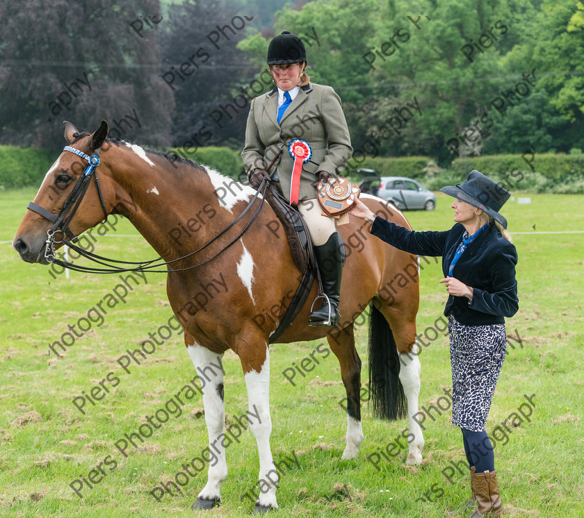 Ring 2 Afternoon 043 
 Naphill Riding Club Open Show 
 Keywords: Naphill Riding Club, Open Show, Equestrian, Piers Photography,
Bucks Wedding Photographer