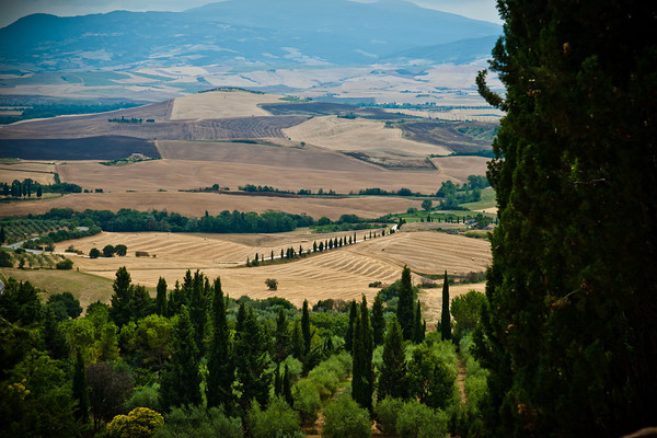 Italian Hols 371 
 Pienza