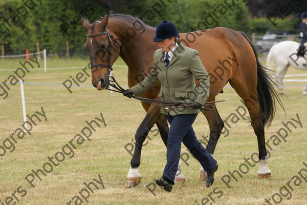 In Hnad Veteran Horse 18 
 NRCS Class 22 In Hand Veteran Horse