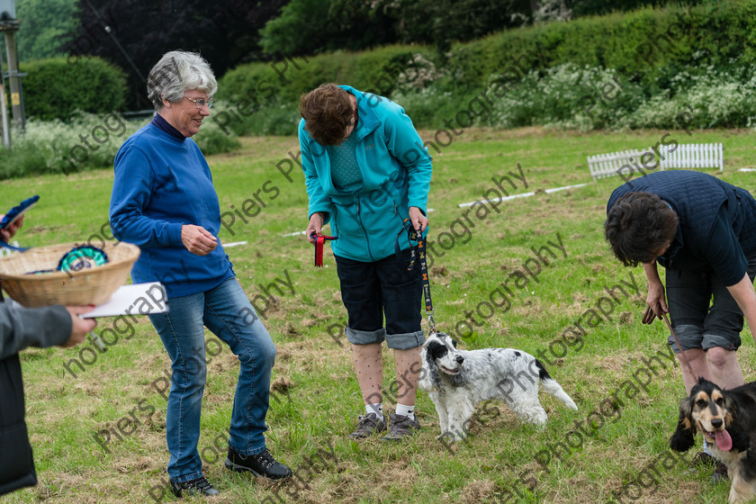 NRC Dog Show 020 
 Naphill Riding Club Open Show 
 Keywords: Naphill Riding Club, Open Show, Equestrian, Piers Photography, Bucks Wedding Photographer