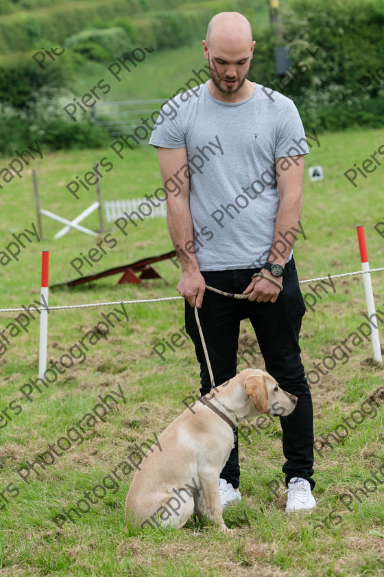 NRC Dog Show 015 
 Naphill Riding Club Open Show 
 Keywords: Naphill Riding Club, Open Show, Equestrian, Piers Photography, Bucks Wedding Photographer