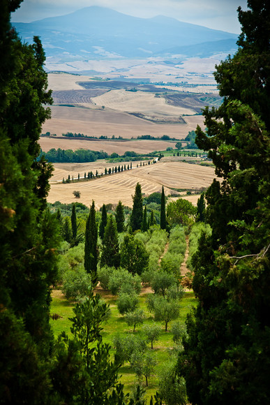 Italian Hols 369 
 Pienza