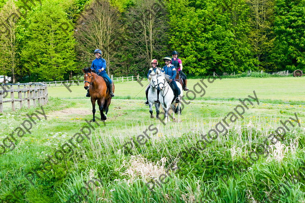 NRCWWE09 040 
 Naphill Riding Club West Wycombe Ride 09 
 Keywords: Naphill Riding Club, West Wycombe Estate