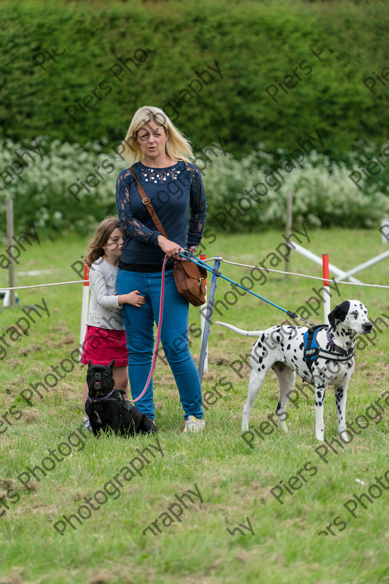 NRC Dog Show 050 
 Naphill Riding Club Open Show 
 Keywords: Naphill Riding Club, Open Show, Equestrian, Piers Photography, Bucks Wedding Photographer