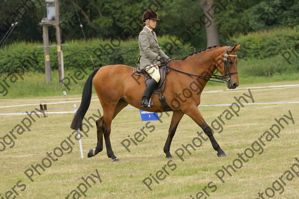 Ridden Veteran Horse 011 
 NRCS Class 23 Ridden Veteran Horse