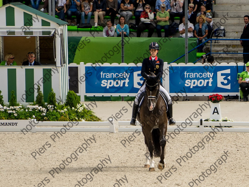 Freestle dressage WEG 045 
 WEG 2014 Freestyle dressage