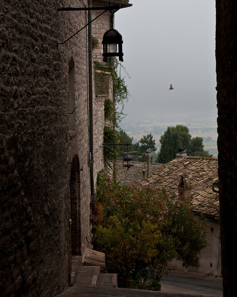 Italian Hols 137 
 Assisi 
 Keywords: Assisi, Hilder family holiday, Italy, Piers Photo.