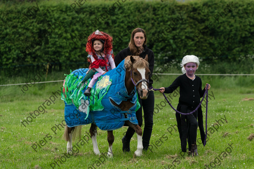 Fancy Dress 004 
 Naphill Riding Club Open Show 
 Keywords: Naphill Riding Club,Open Show, Equestrian, Piers Photography, Bucks Wedding Photographer