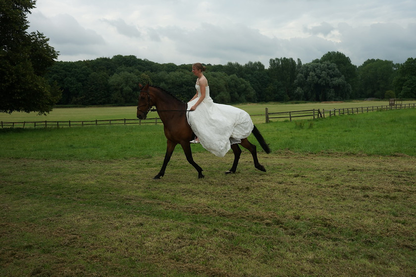 Alice Canter 035 
 West Wycombe Horse shoot 
 Keywords: Buckinghamshire wedding photographer, Horses, Piers Photo, Summer, West Wycombe House