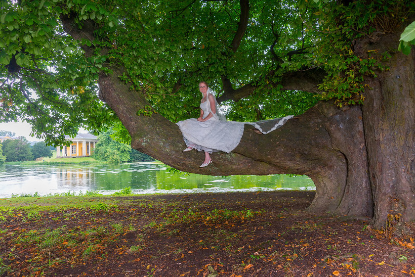 WWE Bridal tree 031 
 West Wycombe Horse shoot 
 Keywords: Buckinghamshire wedding photographer, Horses, Piers Photo, Summer, West Wycombe House