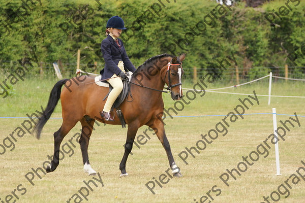 Ridden Veteran Horse 006 
 NRCS Class 23 Ridden Veteran Horse