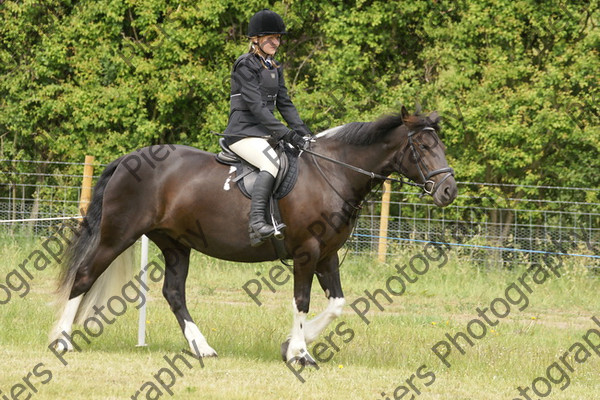 Family Horse 14 
 NRCS Class 20 Family Horse