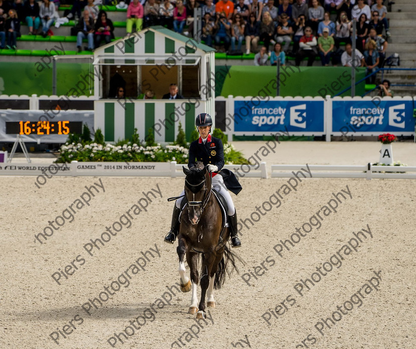 Freestle dressage WEG 041 
 WEG 2014 Freestyle dressage