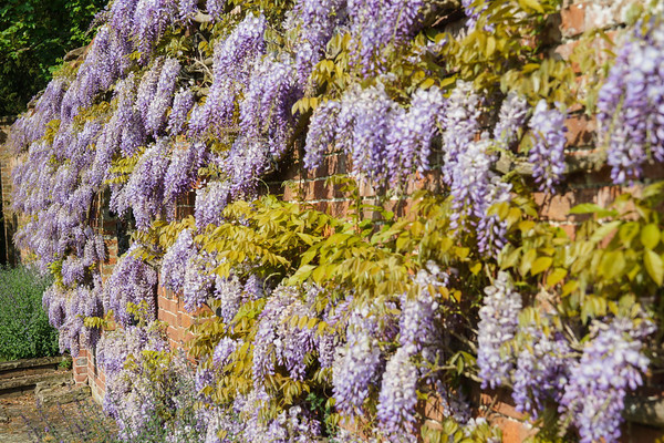 Adwell House 07 
 Adwell House May 2013 
 Keywords: Adwell House, Piers Photos, gardens