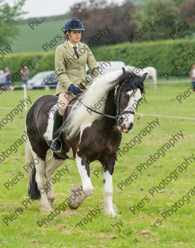 Ring 2 Afternoon 029 
 Naphill Riding Club Open Show 
 Keywords: Naphill Riding Club, Open Show, Equestrian, Piers Photography,
Bucks Wedding Photographer