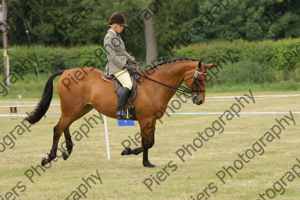 Ridden Veteran Horse 024 
 NRCS Class 23 Ridden Veteran Horse