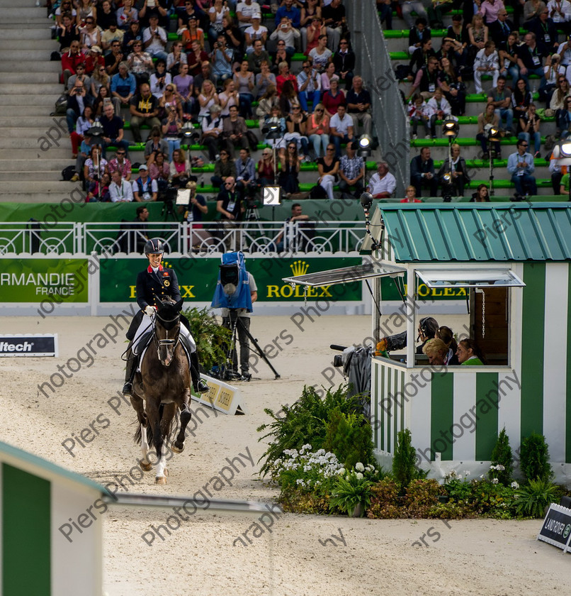 Freestle dressage WEG 023 
 WEG 2014 Freestyle dressage