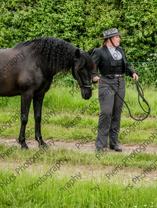 show portraits 07 
 Naphill Riding Club Open Show 
 Keywords: Naphill Riding Club, Open Show, Equestrian, Piers Photography, Bucks Wedding Photographer