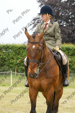 Ridden Veteran Horse 039 
 NRCS Class 23 Ridden Veteran Horse