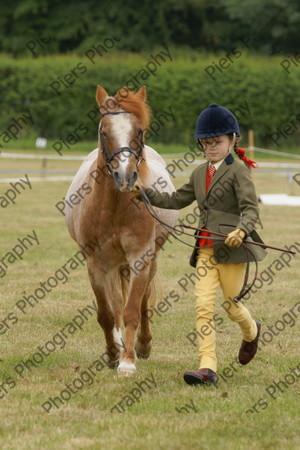 In Hnad Veteran Horse 11 
 NRCS Class 22 In Hand Veteran Horse