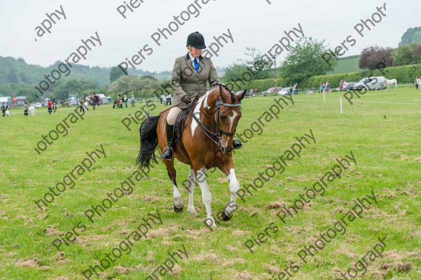 Ring 2 Afternoon 039 
 Naphill Riding Club Open Show 
 Keywords: Naphill Riding Club, Open Show, Equestrian, Piers Photography,
Bucks Wedding Photographer