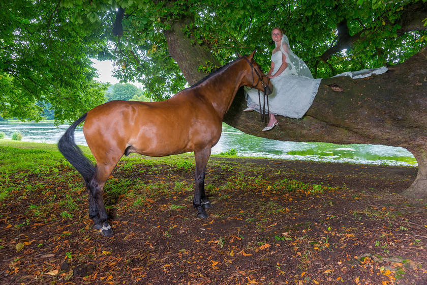 WWE Bridal tree 035 
 West Wycombe Horse shoot 
 Keywords: Buckinghamshire wedding photographer, Horses, Piers Photo, Summer, West Wycombe House