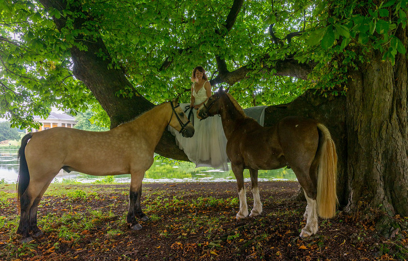 WWE Bridal tree 001 
 West Wycombe Horse shoot 
 Keywords: Buckinghamshire wedding photographer, Horses, Piers Photo, Summer, West Wycombe House